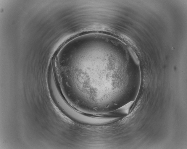 X0000067900942200604201331