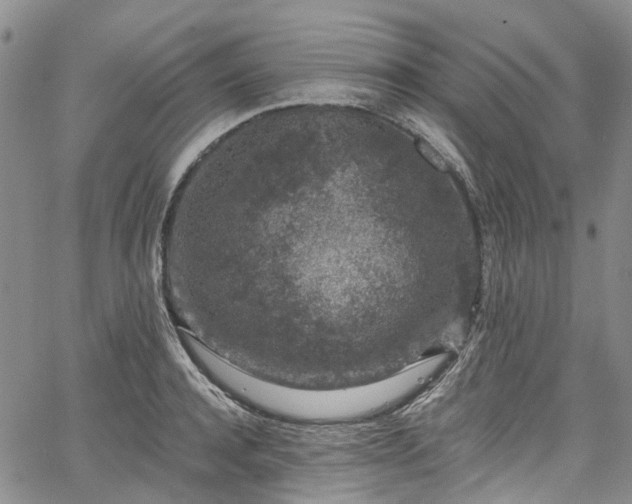 X0000067900944200604201331