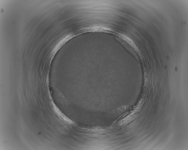 X0000067900946200604201331