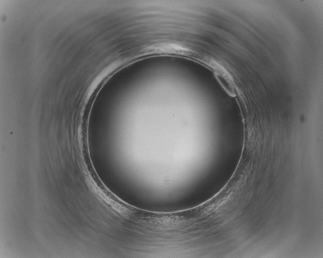 X0000067900947200604201331