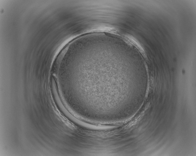 X0000067900948200604201331