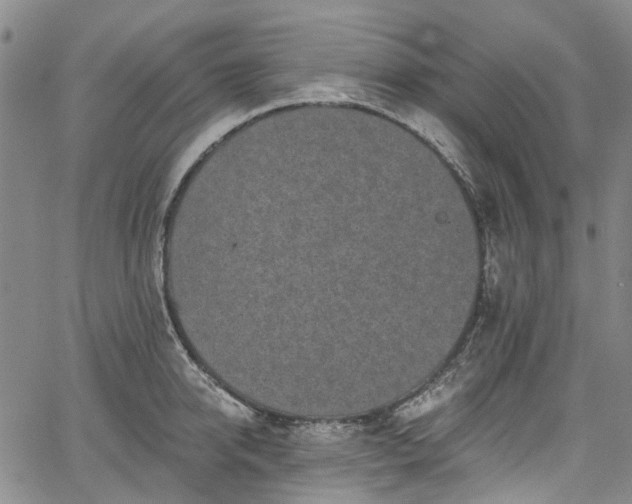 X0000067900950200604201331