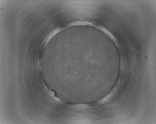 X0000067900953200604201331