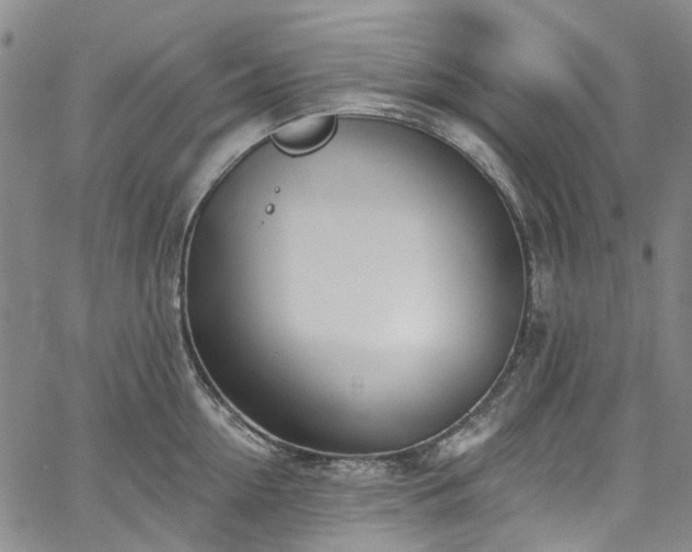 X0000067900954200604201331