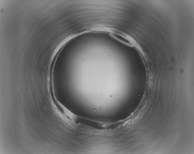 X0000067900955200604201331