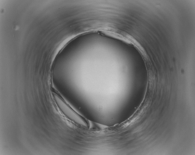 X0000067900956200604201331