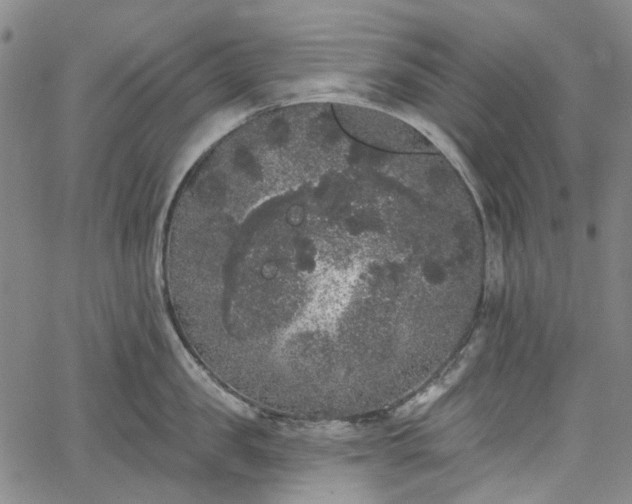 X0000067900957200604201331