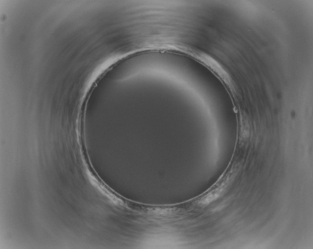 X0000067900958200604201331