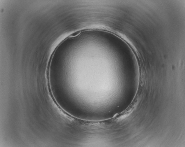 X0000067900959200604201331