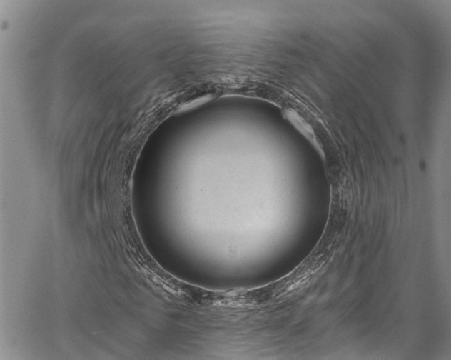 X0000067900961200604201331