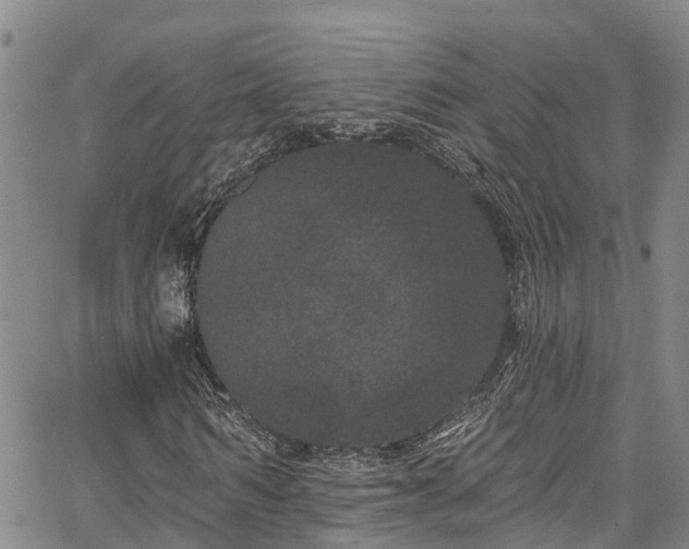 X0000067900962200604201331