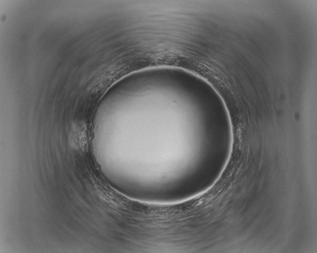 X0000067900963200604201331