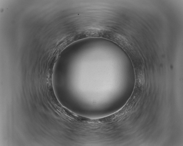 X0000067900964200604201331