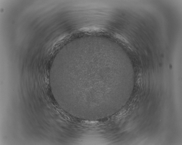 X0000067900966200604201331