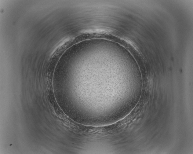 X0000067900967200604201330