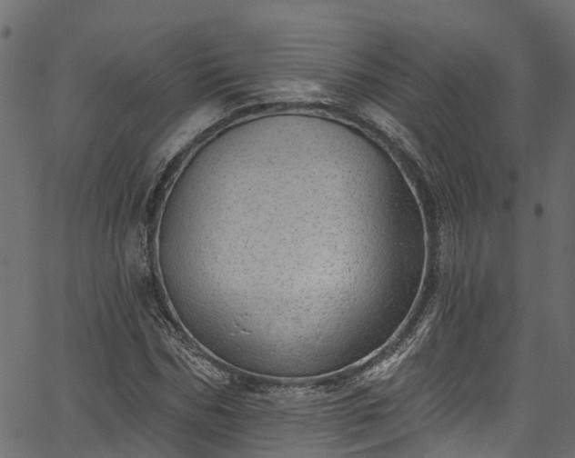 X0000067900970200604201330