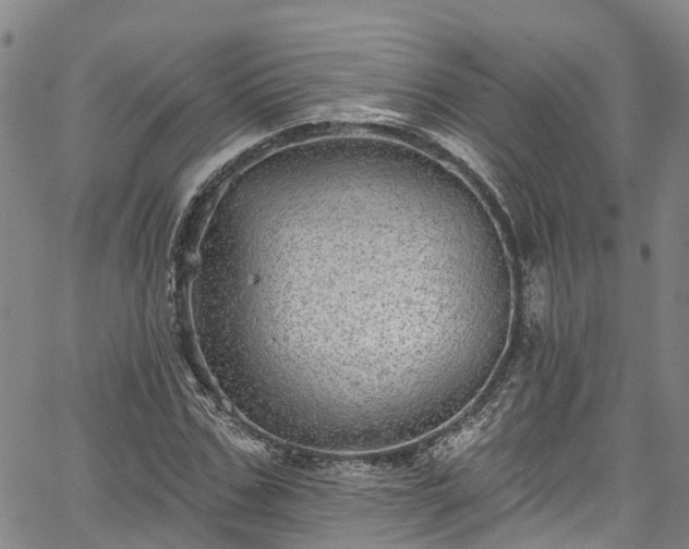 X0000067900971200604201330