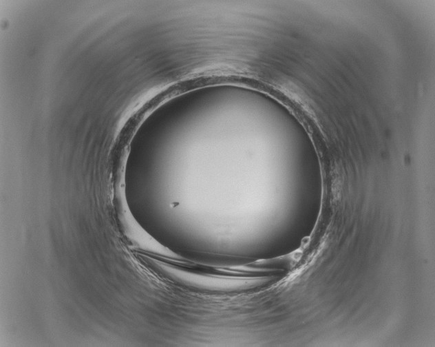 X0000067900973200604201330