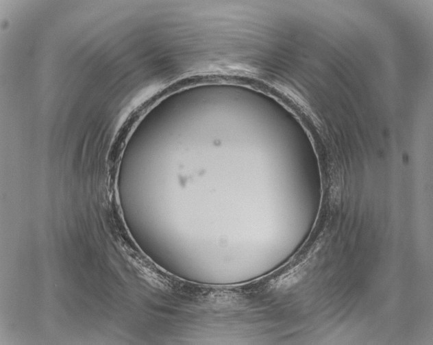 X0000067900974200604201330