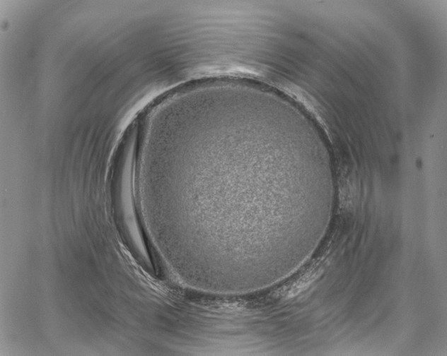 X0000067900975200604201330