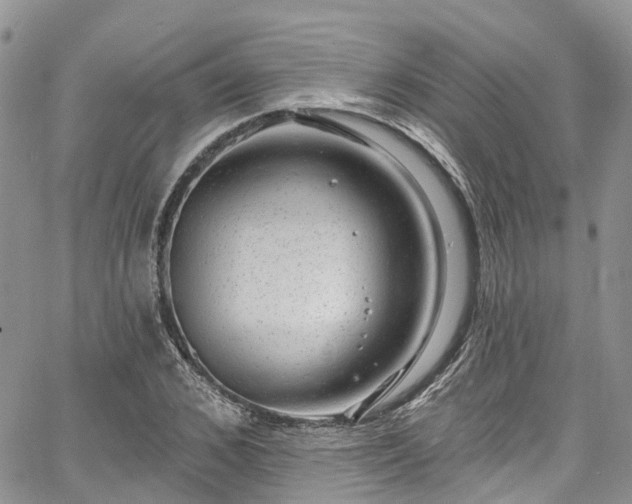 X0000067900976200604201330