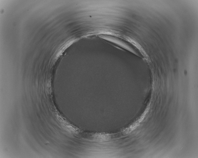 X0000067900977200604201330