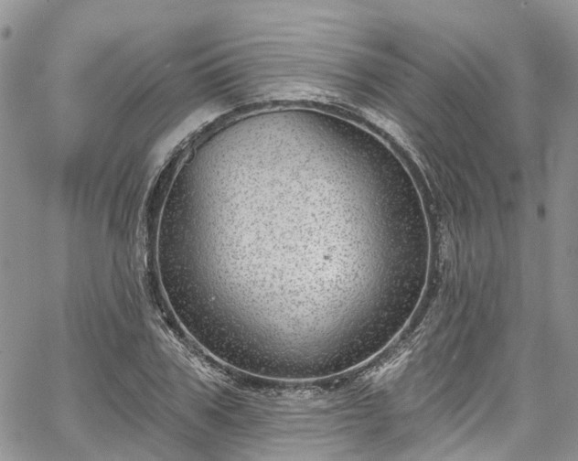 X0000067900979200604201330