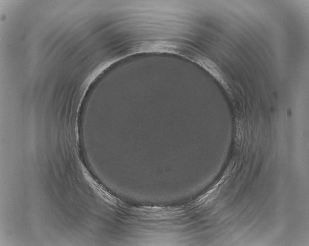 X0000067900980200604201330