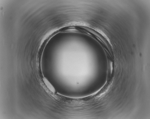 X0000067900981200604201330