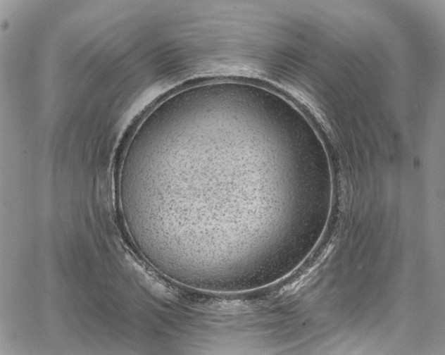 X0000067900982200604201330