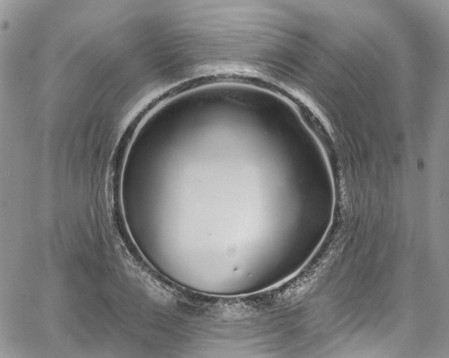 X0000067900983200604201330