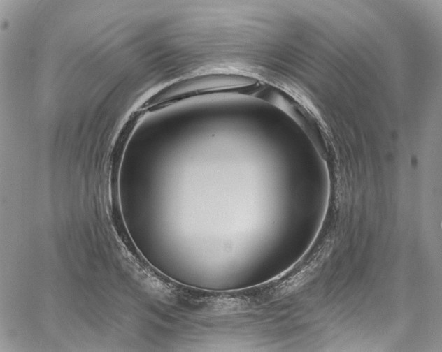 X0000067900984200604201330