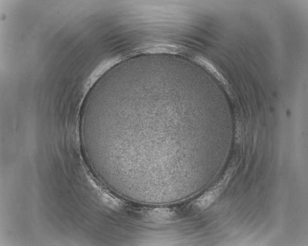 X0000067900986200604201330