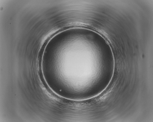 X0000067900987200604201330