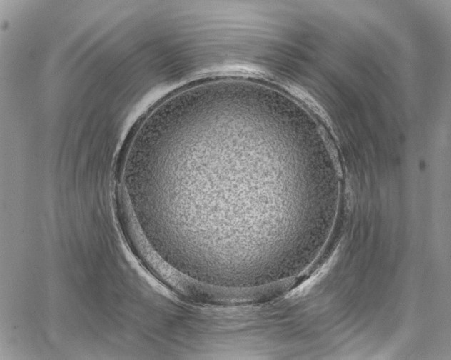 X0000067900989200604201330