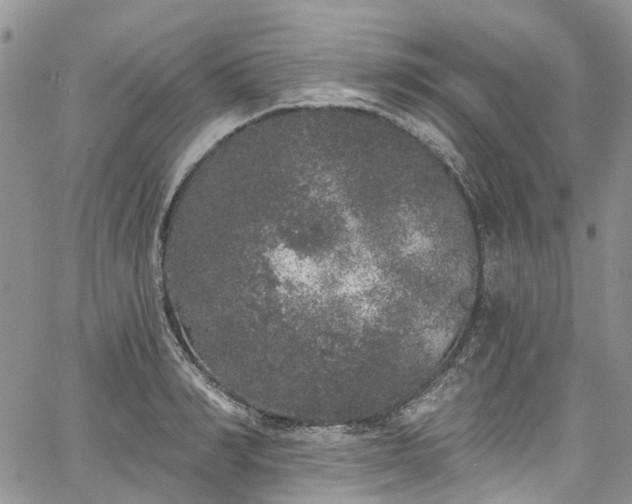 X0000067900990200604201330