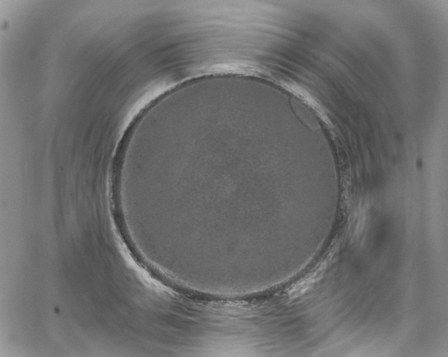 X0000067900991200604201330