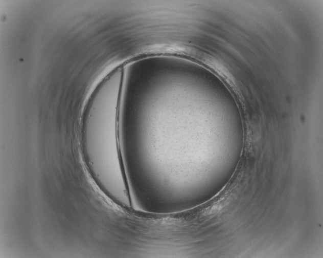 X0000067900992200604201330