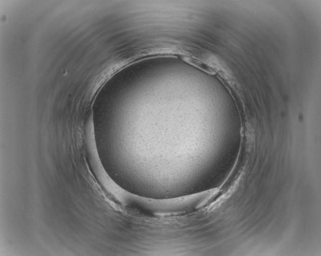 X0000067900993200604201330