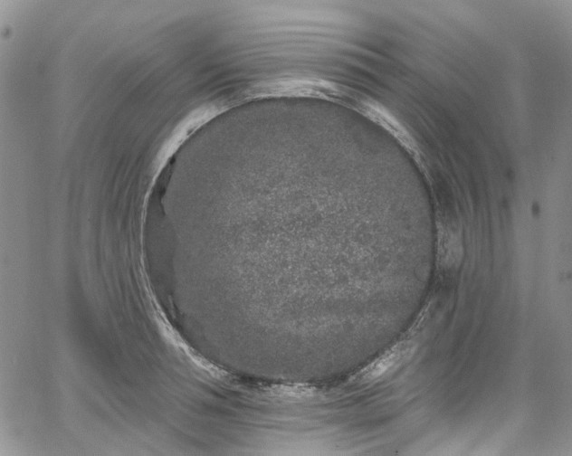 X0000067900994200604201330