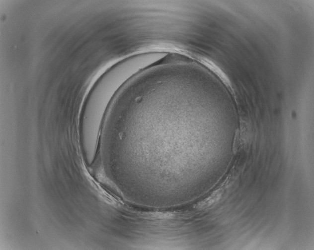 X0000067900996200604201330