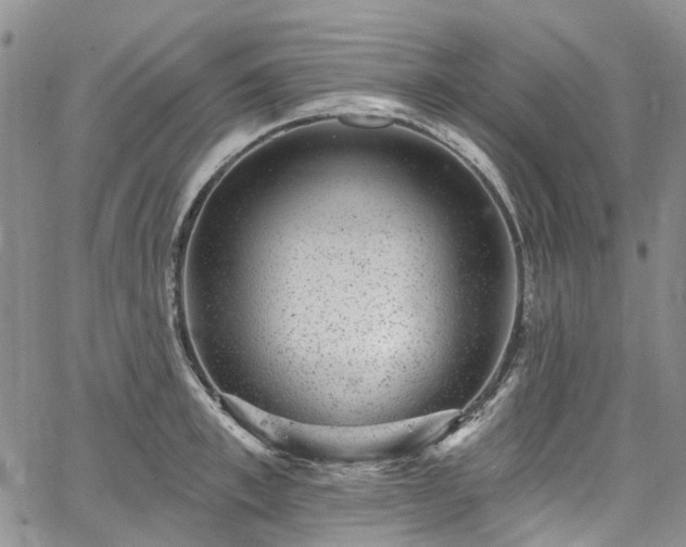 X0000067900997200604201330