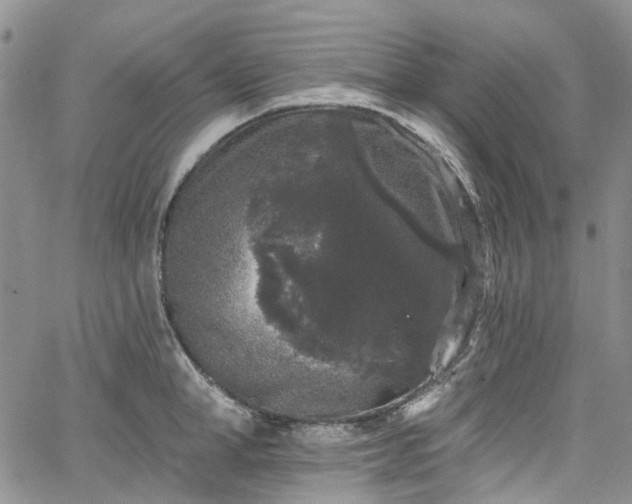 X0000067900998200604201330