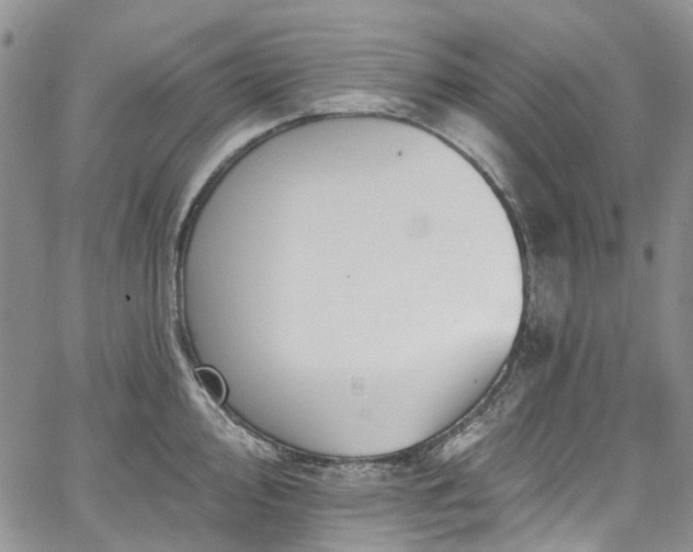 X0000067901000200604201330