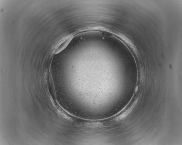 X0000067901001200604201330