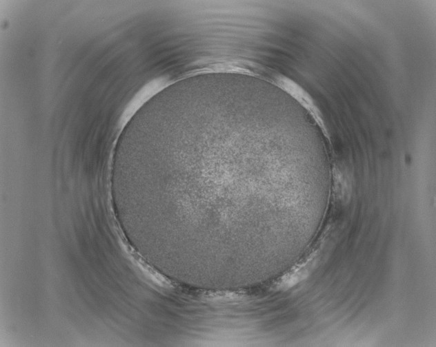 X0000067901002200604201330