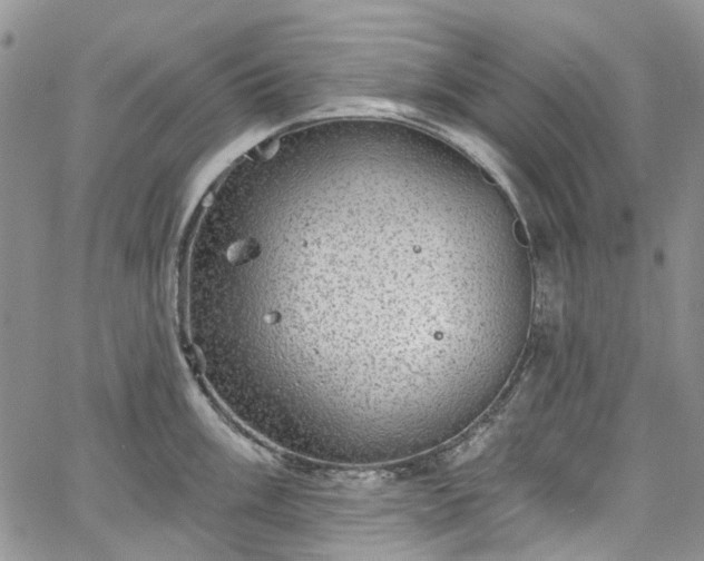 X0000067901003200604201330