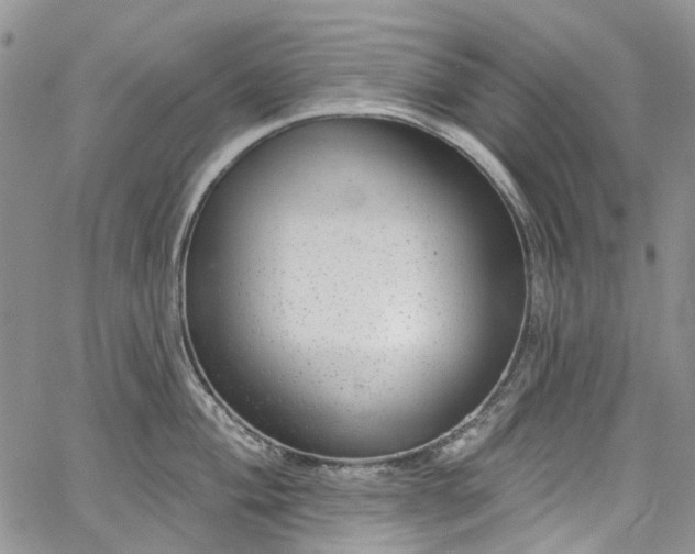 X0000067901004200604201330