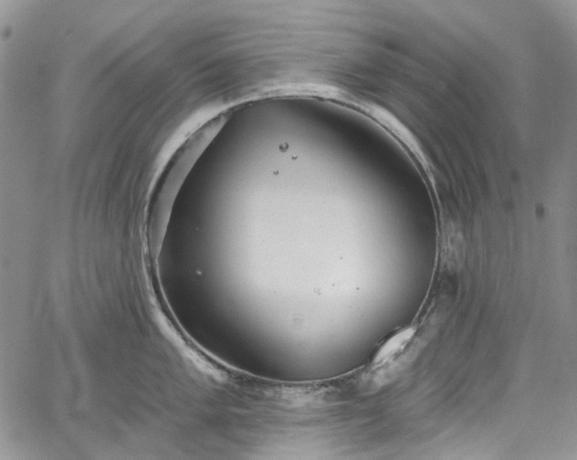 X0000067901005200604201330