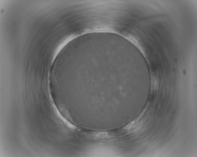 X0000067901006200604201330